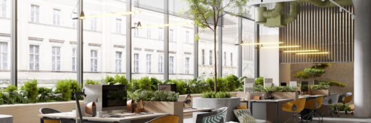 How Can You Make Your Office Sustainable?