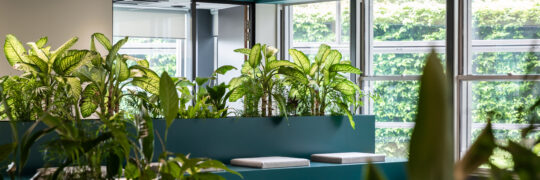 5 Office Design Problems and How to Solve Them